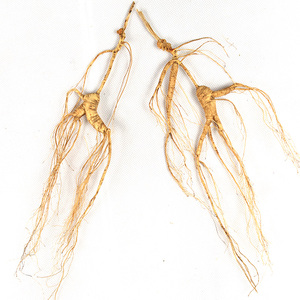 Polvo y cápsulas de ginseng seco Sabor dulce y amargo para adultos - Product Image 1