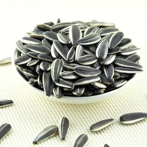 Chinese large sizes black hulled raw sunflower seeds in China