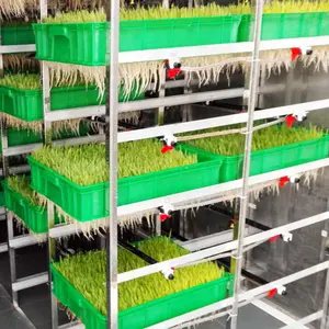 Made In China Hydroponic Forage Germinate Machine | Green Barley Seeds Breeding Room | Grass Bud Seedling System