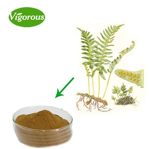 10:1ธรรมชาติ <span class=keywords><strong>Polypodium</strong></span> <span class=keywords><strong>Leucotomos</strong></span> สารสกัดจากผง - Product Image 1