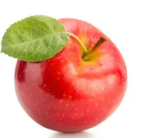 핫 세일 중국 신선한 사과 과일