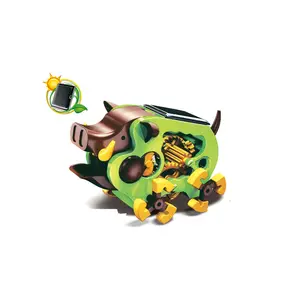 DIY Toys Fun Porcupine Educational Solar Robot Toys for Wholesale