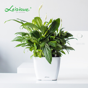 <span class=keywords><strong>Macetas</strong></span> <span class=keywords><strong>de</strong></span> Plástico, Artículos <span class=keywords><strong>de</strong></span> Jardinería Inteligentes, Decoración, Mini <span class=keywords><strong>Macetas</strong></span> <span class=keywords><strong>Cuadradas</strong></span> Pequeñas <span class=keywords><strong>de</strong></span> Escritorio para Interiores, Color Blanco, con Indicador <span class=keywords><strong>de</strong></span> Agua - Product Image 2
