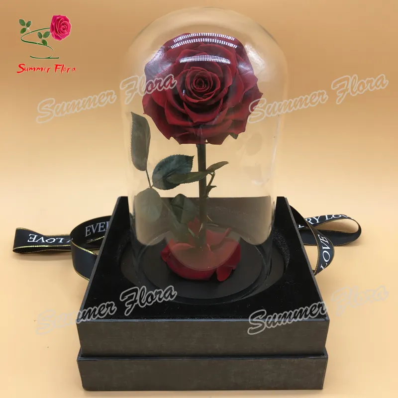 Sommer Flora 2020 <span class=keywords><strong>Neue</strong></span> Weihnachten echte konservierte Rosen Glaskuppel mit Box perfekte Valentinstag Geschenk