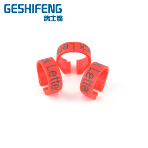 Anillo de plástico <span class=keywords><strong>para</strong></span> pierna de Paloma personalizado, anillos de cóctel <span class=keywords><strong>para</strong></span> canarios con <span class=keywords><strong>nombre</strong></span> 2022/<span class=keywords><strong>para</strong></span> todos los países - Product Image 2