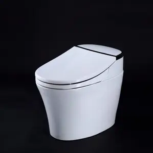 Intelligent Smart Toilet Electronic Toilet With Automatic Operation SST800