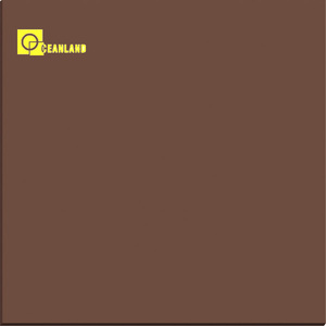 tuiles béton couleur mono corps plein poli vitrifiés Nano <span class=keywords><strong>800x800</strong></span> - Product Image 1