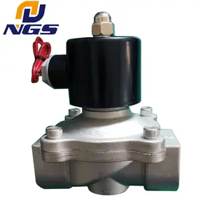 2W 304 de acero inoxidable de agua y de aire válvula de solenoide de 2W025-08 2W040-10 2W160-15 2W200-20 2W250-25 2W350-35 2W400-40 2W500-50