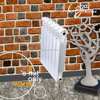 Installation murale système de chauffage central de l'eau radiateur bimétallique à insert tubulaire en acier moulé sous pression