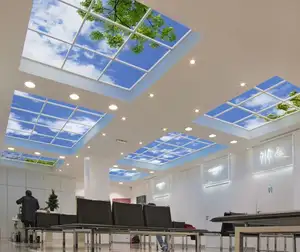 blue sky 40W 600X600 led frameless skylight panel