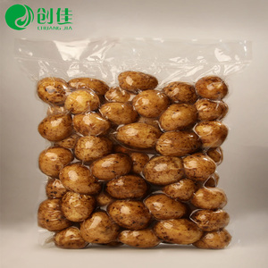 Kemasan Vakum Kelas Makanan Plastik Pa Pe Film Layflat <span class=keywords><strong>Tubing</strong></span> Buatan Cina - Product Image 6