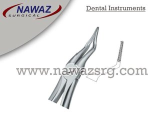 Forceps d'extraction de dents Fig.151 Produits de logo personnalisé de haute qualité Instruments dentaires en acier inoxydable de haute qualité - Product Image 2