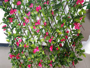 Valla de Jardín Artificial de Plástico, Valla de PVC, Valla de <span class=keywords><strong>Madera</strong></span>, Plantas de Plástico para Jardín, Plantas Artificiales, <span class=keywords><strong>Enrejado</strong></span> de <span class=keywords><strong>Madera</strong></span> para Decoración de Jardín - Product Image 5