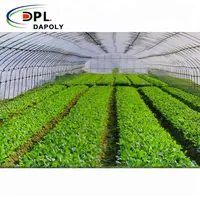 Fabrika fiyat Anti böcek ekran sera tarım domates korumak böcek geçirmez örgü ince örgü Net