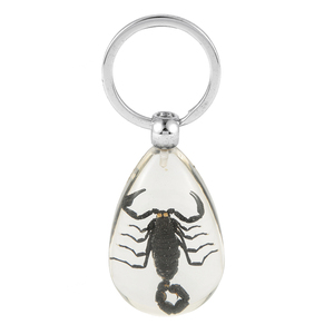 New Arrival Bất Cua/Côn Trùng/Bọ Cạp Hình Bầu Dục Nhựa Trong Suốt Khuyến Mãi Côn Trùng Hổ Phách Móc Chìa Khóa - Product Image 5