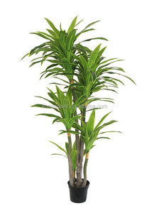Plantas suculentas artificial/falso Árbol/árbol de los bonsai de plástico - Product Image 4