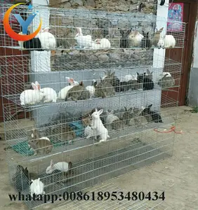 Galvanized Rabbit Cage Design And Cheap Commercial / Industrial Rabbit Cage for sale in Kenya farm