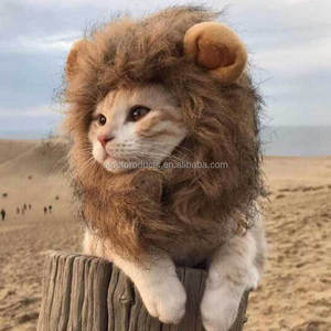 Lustige Katze Löwe Mähne Perücke niedlichen wasch baren Halloween Plüsch Katzen hut - Product Image 1