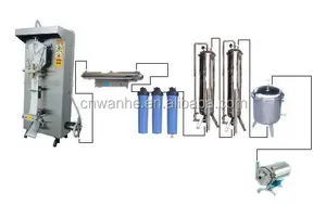 WANHE SJ-1000 Automatic Liquid Filling And Saealing Machine Juice Ice Lolly Candy Water Sachet Bags Pouch Packing Machine