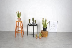 Quasi naturale piante succulente <span class=keywords><strong>cactus</strong></span> vasi artificiale <span class=keywords><strong>pianta</strong></span> <span class=keywords><strong>di</strong></span> <span class=keywords><strong>cactus</strong></span> - Product Image 4