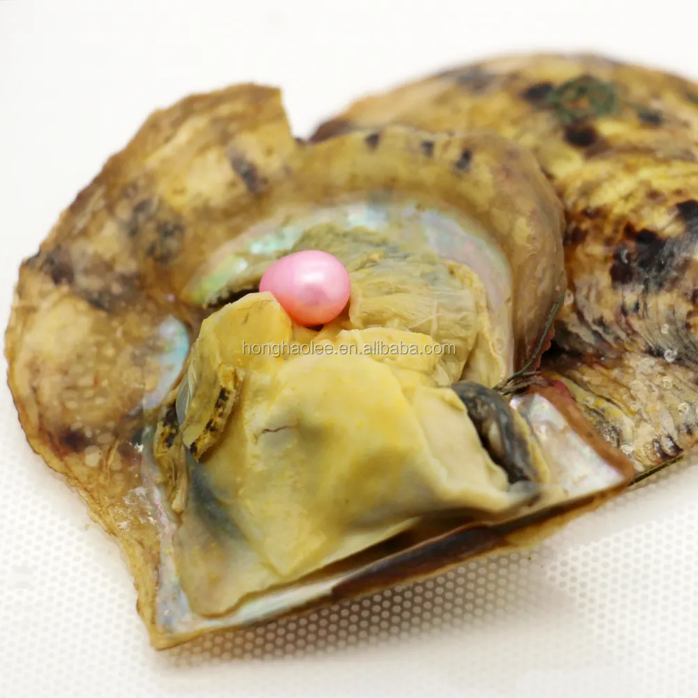 Pearls in Akoya oyster Shell Vacuum Packaged 6-8 mm Tear-shaped Rice Pearls  Loose Loose Salt Akoya Pearl Wholesale for Sale