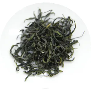China healthy loose tea organic tea Hunan green tea Maojian