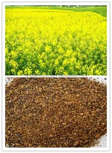 Import And Export CP36% Rapeseed Meal For Animal Feed