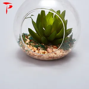绿色植物透明玻璃玻璃容器地球悬挂玻璃容器批发