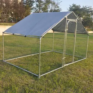 2019 Yeni Tasarımlar Çevre Dostu Arka Ücretsiz Aralığı Küçük Tavuk Tavuk Kalem Ev Kapı - Product Image 1