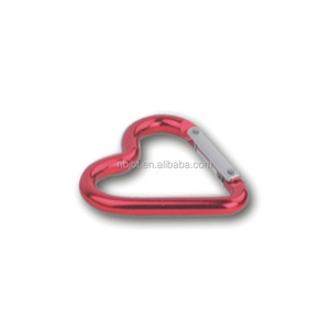 Various Promotion Carabiner Keychain