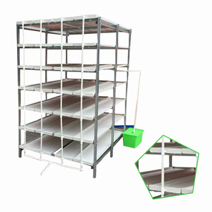 <span class=keywords><strong>Charolas</strong></span> de Plástico LYINE, Bandeja para Forraje Verde, Bandejas de PVC para Hidroponía - Product Image 6