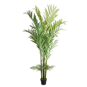 250cm Artificielle Cocotier Bonsaï Hôtel Hall Centre Commercial et Autre Plante Verte Décorative En Caoutchouc Pot Fabricants Personnalisé - Product Image 6
