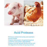 Poudre d'enzyme protéase acide de qualité alimentaire pour additif nutritionnel animal