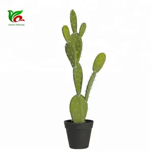 Goede Kwaliteit 60 cm Simulatie Cactus Plant EPE Materiaal Voor Decoratie