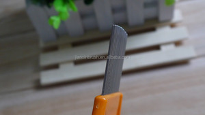 Peigne d'élimination des empreintes de puces naturelles, vente en gros, épais et résistant, en plastique, longues dents en acier inoxydable - Product Image 5