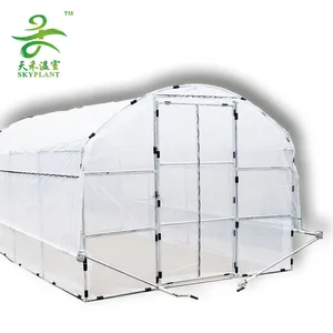 Pe Cover Mini Steel Tube Garden Greenhouse For Sale Most Popular Plastic Cover Mini Walk Greenhouse Easy Diy Greenhouse