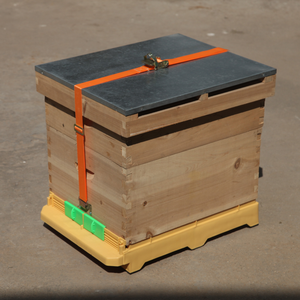 Nouvelle ruche en bois de sapin de Chine Zorue avec fond en plastique et ceinture pour apiculteurs - Product Image 3