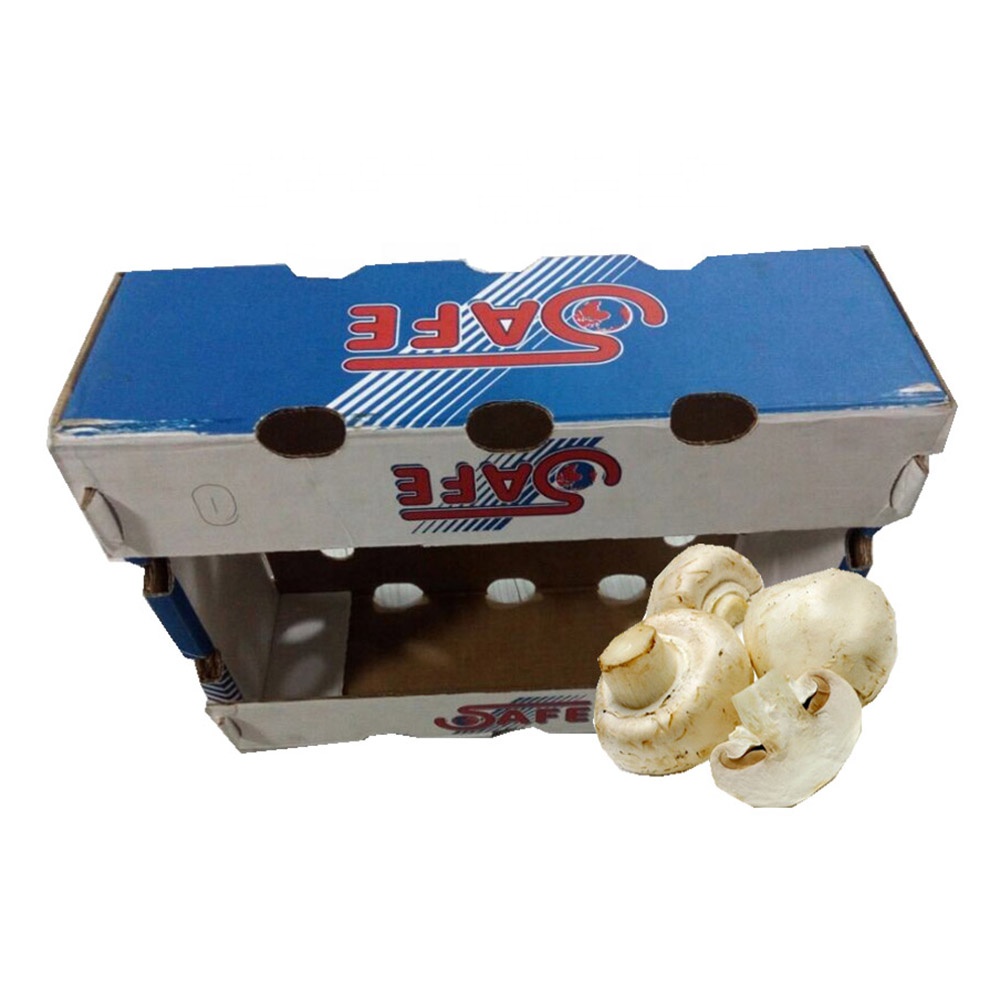 carton box with dividers for mushrooms variety