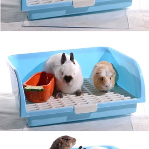 <span class=keywords><strong>Toilette</strong></span> <span class=keywords><strong>pour</strong></span> animaux domestiques, <span class=keywords><strong>lapin</strong></span>, <span class=keywords><strong>toilette</strong></span>, nouveau design, vente en gros, livraison gratuite - Product Image 5
