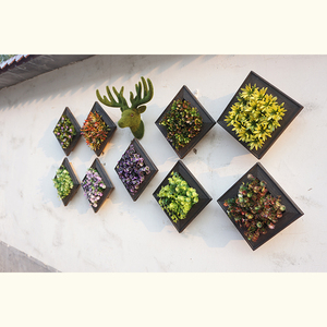 Decorativas al por mayor ciervos cabeza foto madera marco plantas suculentas Frames Set - Product Image 4