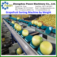 Kiwi Gewicht Sorteren Machine/Machine te Sorteren Kiwi/Chinese Kruisbes Grading Machine