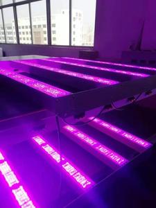 Custom 150W 200W 250W spettro completo LED coltivano la luce per orticoltura idroponica serra COB Chip IP65 Rating per la fioritura - Product Image 4