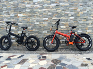 Hasky 20 pulgadas de tamaño, plegable hub <span class=keywords><strong>chica</strong></span> <span class=keywords><strong>bicicleta</strong></span> eléctrica - Product Image 4