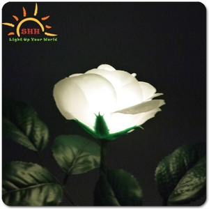 Lampe LED multicolore changeante, 1 pièce, fleur de Rose blanche sur une tige verte avec feuilles - Product Image 4