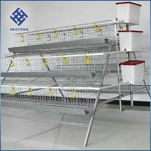 Factory Price Supply Chicken Farm Poultry Poultry Farm Automatic Chicken Layer Cage Price Competitive Price Welded Cage 3 Months