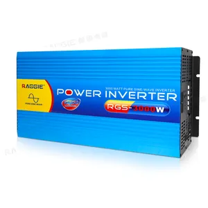 RAGGIE 3000W 3KW Pure Sine Wave Solar Power Inverter 12V 220V E Tinggi Fficiency