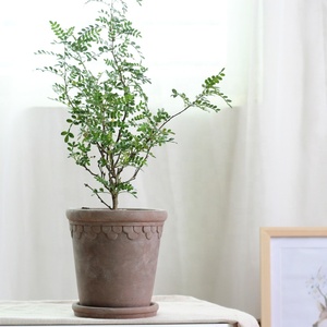 Haute qualité maison Gadern décoration succulente planteur <span class=keywords><strong>Pot</strong></span> <span class=keywords><strong>extérieur</strong></span> intérieur décoratif jardin balcon <span class=keywords><strong>terre</strong></span> <span class=keywords><strong>cuite</strong></span> Pots de fleurs - Product Image 4