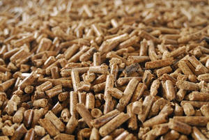 Surtidor de China del precio de fábrica de pellets de madera / fábrica de pellets con 2 - 3 t / h - Product Image 2
