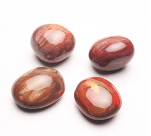 Wholesale Natural Red Wood <strong>Jade</strong> fossil Raw <strong>Stone</strong> Healing Petrified Wood Palm <strong>Stone</strong> Calm <strong>Stone</strong> - Product Image 6