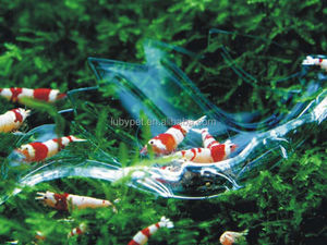 Plat d'alimentation de crevettes en forme de feuille acrylique pour réservoir de crevettes d'aquarium cristal rouge cerise - Product Image 3
